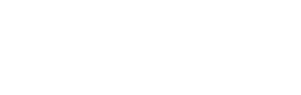 Nine.com logo